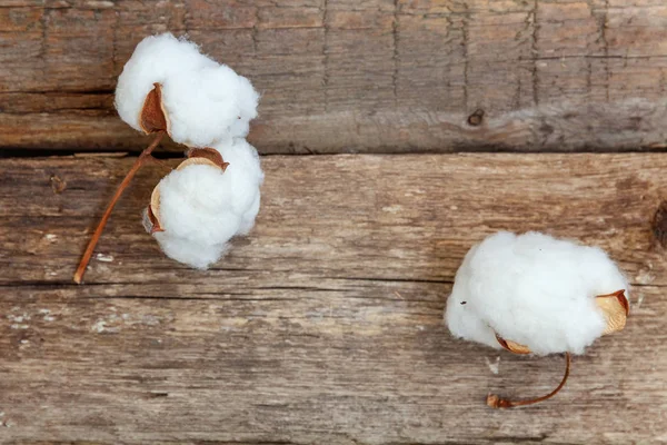Güzel beyaz pamuklu çiçek rustik eski vintage ahşap düz yatıyordu zemin üzerine. Kumaş bez yumuşaklık doğal organik tarım Anti kavramı