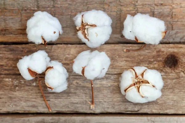 Güzel beyaz pamuklu çiçek rustik eski vintage ahşap düz yatıyordu zemin üzerine. Kumaş bez yumuşaklık doğal organik tarım Anti kavramı