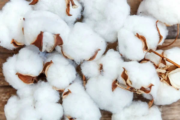 Güzel beyaz pamuklu çiçek rustik eski vintage ahşap düz yatıyordu zemin üzerine. Kumaş bez yumuşaklık doğal organik tarım Anti kavramı