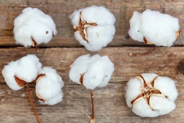 Güzel beyaz pamuklu çiçek rustik eski vintage ahşap düz yatıyordu zemin üzerine. Kumaş bez yumuşaklık doğal organik tarım Anti kavramı