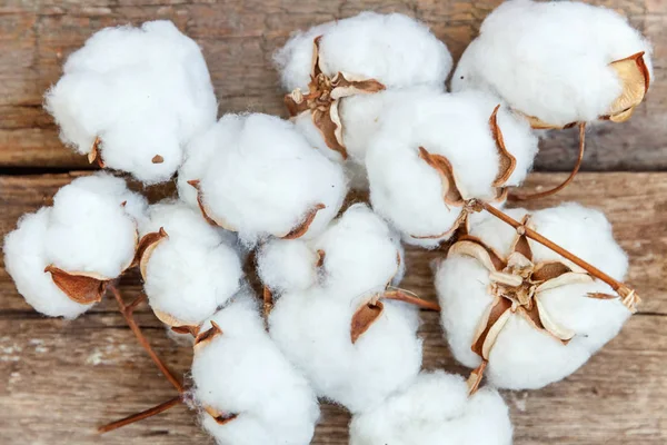 Güzel beyaz pamuklu çiçek rustik eski vintage ahşap düz yatıyordu zemin üzerine. Kumaş bez yumuşaklık doğal organik tarım Anti kavramı