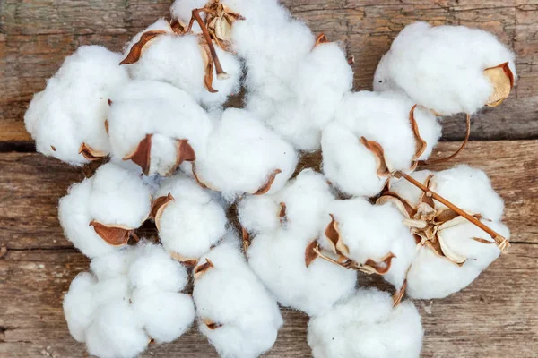 Güzel beyaz pamuklu çiçek rustik eski vintage ahşap düz yatıyordu zemin üzerine. Kumaş bez yumuşaklık doğal organik tarım Anti kavramı