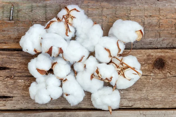 Hermosas Flores Algodón Blanco Sobre Rústico Viejo Fondo Plano Madera — Foto de Stock