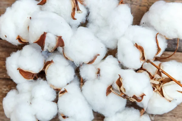 Güzel beyaz pamuklu çiçek rustik eski vintage ahşap düz yatıyordu zemin üzerine. Kumaş bez yumuşaklık doğal organik tarım Anti kavramı