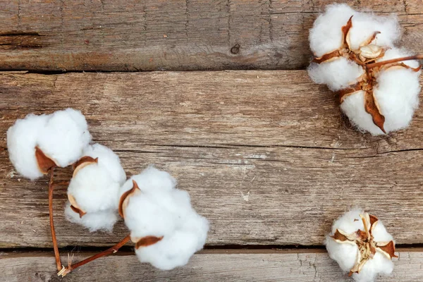 Güzel beyaz pamuklu çiçek rustik eski vintage ahşap düz yatıyordu zemin üzerine. Kumaş bez yumuşaklık doğal organik tarım Anti kavramı