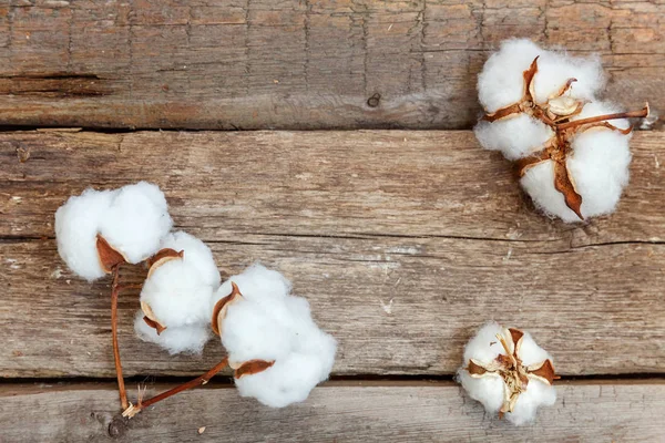 Güzel beyaz pamuklu çiçek rustik eski vintage ahşap düz yatıyordu zemin üzerine. Kumaş bez yumuşaklık doğal organik tarım Anti kavramı