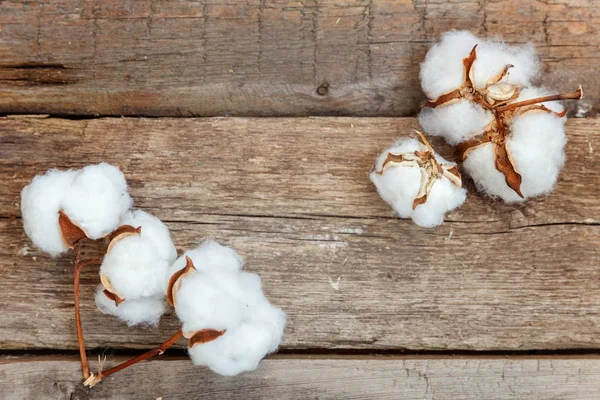 Güzel beyaz pamuklu çiçek rustik eski vintage ahşap düz yatıyordu zemin üzerine. Kumaş bez yumuşaklık doğal organik tarım Anti kavramı
