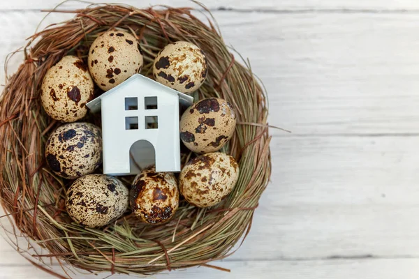 Minyatür beyaz oyuncak model house rustik eski vintage ahşap arka plan üzerinde yumurta yuvada aittir. Eko köyü çevre gayrimenkul ipotek Emlak sigorta rüya ev ekoloji yatırım kavramı