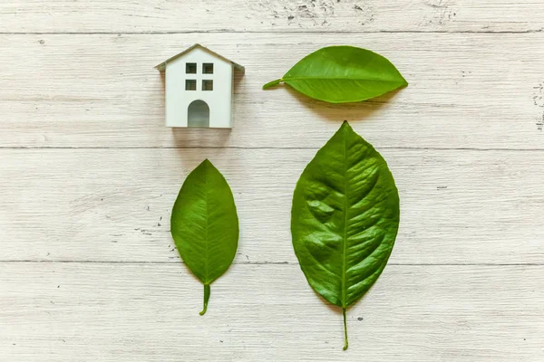 Miniature White Toy Model House Green Leaves Wooden Backgdrop Eco — Stock Photo, Image