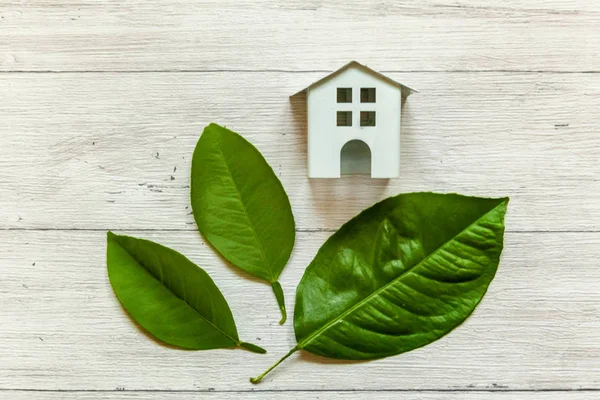 Miniature White Toy Model House Green Leaves Wooden Backgdrop Eco — Stock Photo, Image