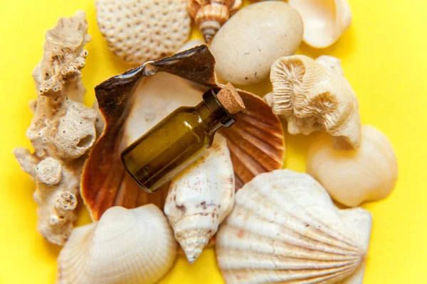 Tropikal arka plan. Deniz kabuklarını ve cam şişe sarı renkli şık modern moda arka plan üzerinde. Tatil seyahat yaz hafta sonu deniz macera seyahat kavramı