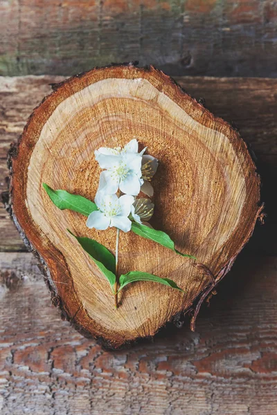 Yasemin kahverengi eski ahşap arka plan üzerinde beyaz çiçekler