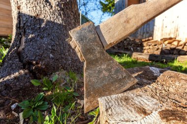Baltayı güdük bir bıçakla bıçaklanmış. Ahşap sapı ile ax.