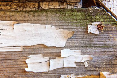 Beyaz soyulması boya ile ahşap arka plan