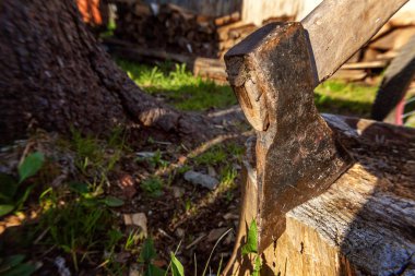 Baltayı güdük bir bıçakla bıçaklanmış. Ahşap sapı ile ax.