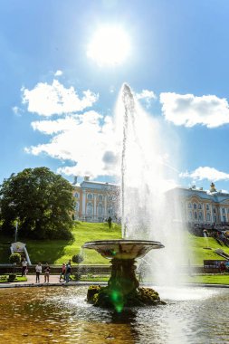 Peterhof Sarayı ve Parkı topluluğu. Çeşme-kase ya da İtalyanca Çeşme Peterhof, Saint Petersburg, Rusya Federasyonu