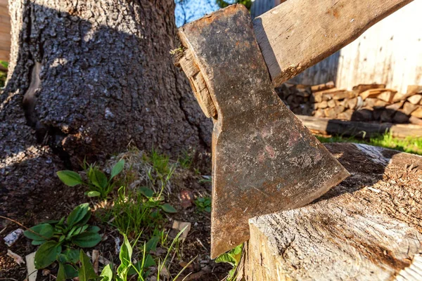 Baltayı güdük bir bıçakla bıçaklanmış. Ahşap sapı ile ax.