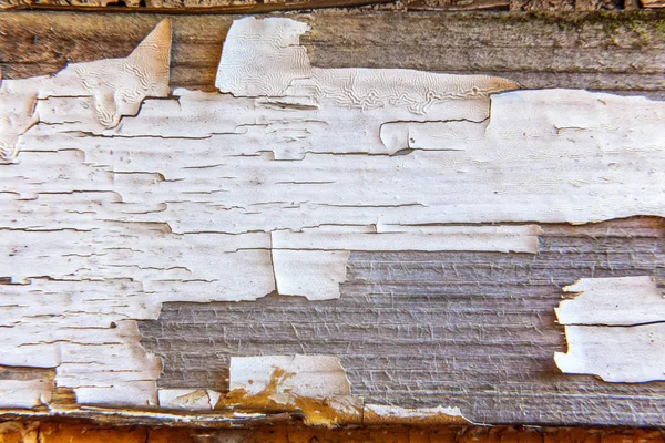 Fond en bois avec peinture à peler blanche — Photo