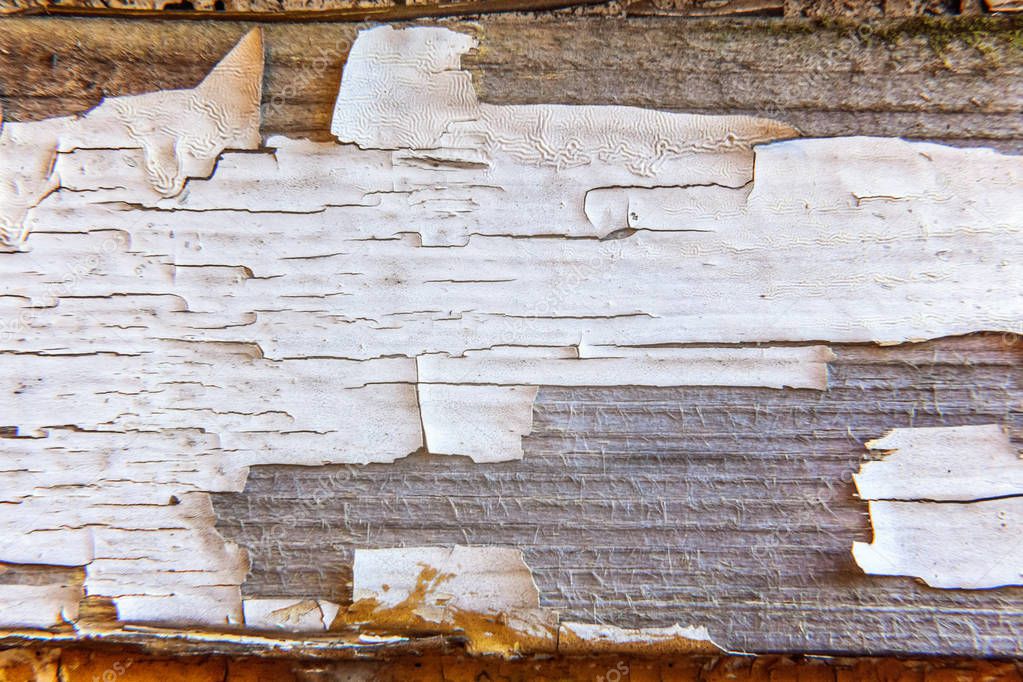 Wooden background with white peeling paint
