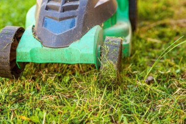 Çim biçme güneşli bir günde bahçede yeşil çim kesme makinesi. Bahçe ülke yaşam tarzı arka plan. Güzel görünüm taze yeşil çim çim güneş ışığı altında bahar ya da yaz sezonu Bahçe Peyzaj