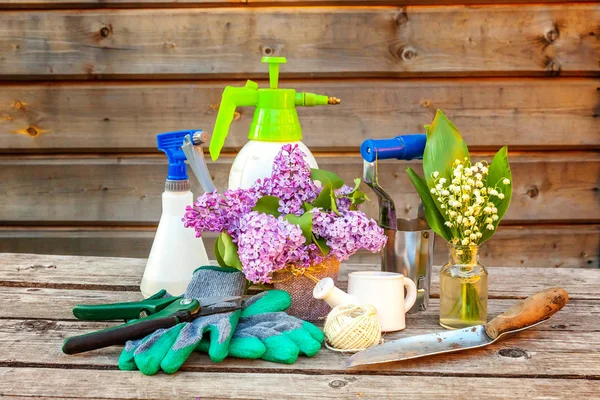 Attrezzi Giardinaggio Annaffiatoio Pala Vanga Potatore Rastrello Guanti Lilla Giglio — Foto Stock