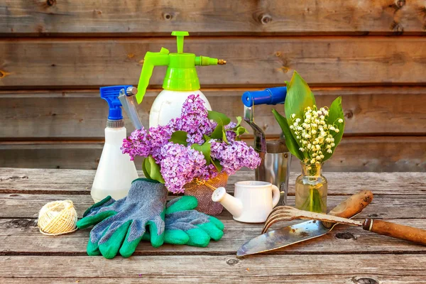 Attrezzi Giardinaggio Annaffiatoio Pala Vanga Potatore Rastrello Guanti Lilla Giglio — Foto Stock