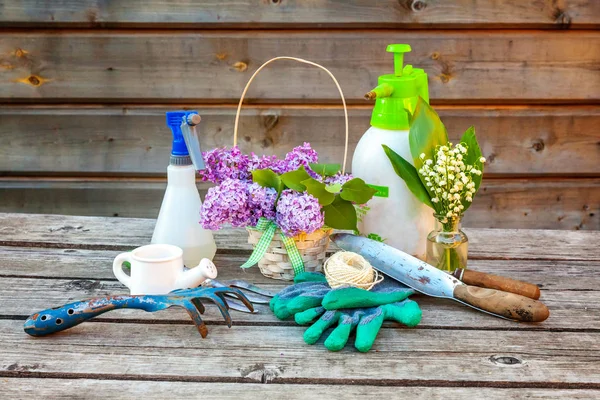 Attrezzi Giardinaggio Annaffiatoio Pala Vanga Potatore Rastrello Guanti Lilla Giglio — Foto Stock