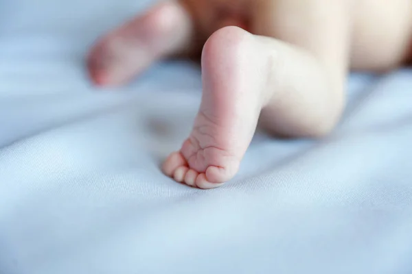 Мягкие Ножки Новорожденного Против Белого Одеяла Маленький Новорожденный Ноги Крупным — стоковое фото