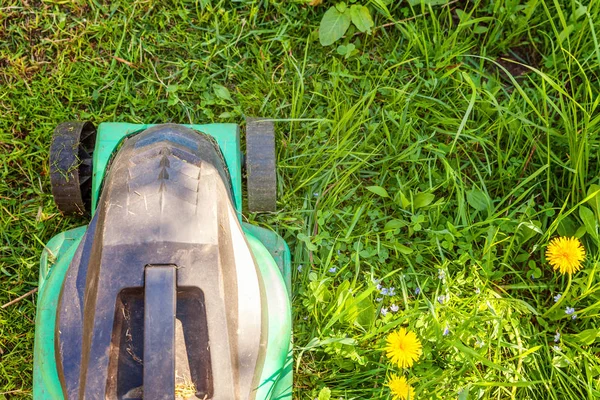 Lawn mower cutting green grass in backyard in sunny day. Gardening country lifestyle background. Beautiful view on fresh green grass lawn in sunlight, garden landscape in spring or summer season