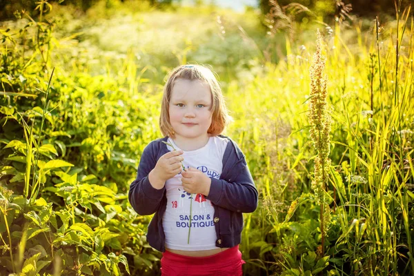 Little Cute Girl Looking Camera Field — Stock Photo, Image