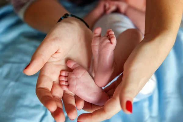 Bebek Ayakları Annenin Ellerinde Minik Yeni Doğmuş Bebek Ayakları Dişi — Stok fotoğraf