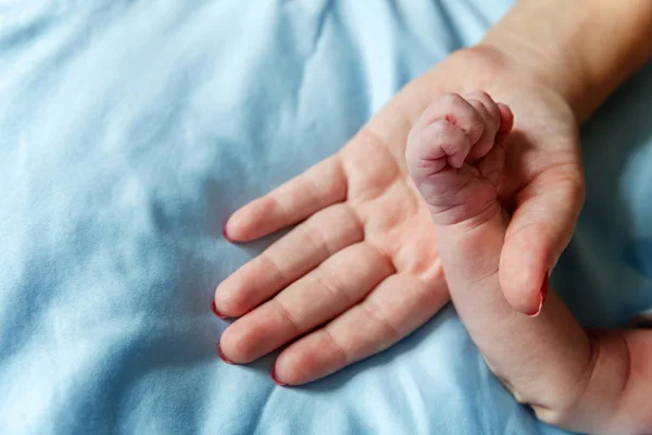 Little Baby Holding Mother Hand Tiny Newborn Baby Hand Female — Stock Photo, Image