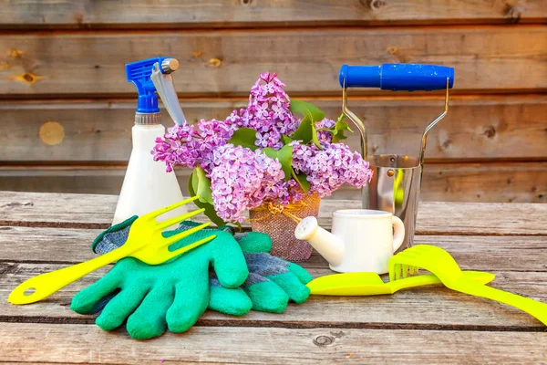 Attrezzi Giardinaggio Annaffiatoio Pala Vanga Potatore Rastrello Guanti Lilla Giglio — Foto Stock