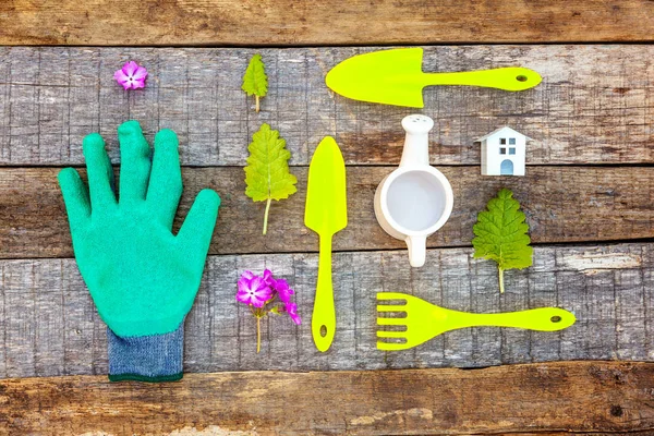 Attrezzi Giardinaggio Annaffiatoio Pala Vanga Potatore Rastrello Guanti Lilla Giglio — Foto Stock