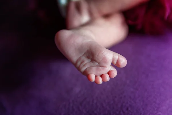 Soft Newborn Baby Feet Purple Blanket Tiny Newborn Baby Feet — Stock Photo, Image