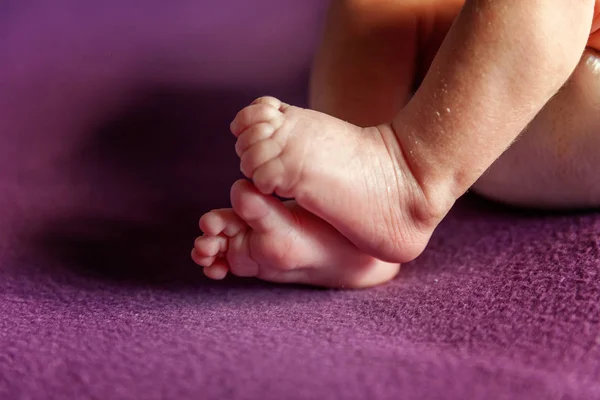 Soft Newborn Baby Feet White Blanket Tiny Newborn Baby Feet — Stock Photo, Image