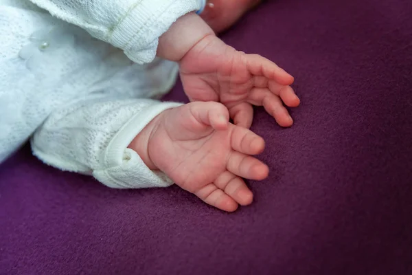 Küçük Bebek Eller Küçük Yeni Doğan Bebeğin Closeup Eller Mutlu — Stok fotoğraf