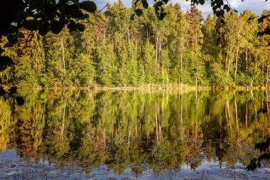 Orman ve su yansıması ile gölün güzel manzara