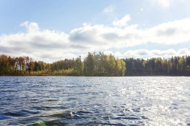 Orman ve su yansıması ile gölün güzel manzara