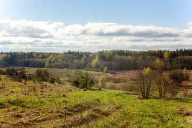Bahar zamanı, köy Rusya'nın güzel yeşil sahne peyzaj