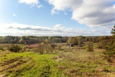 Bahar zamanı, köy Rusya'nın güzel yeşil sahne peyzaj
