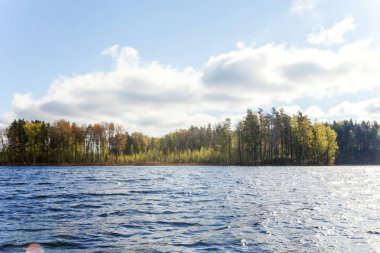 Orman ve su yansıması ile gölün güzel manzara