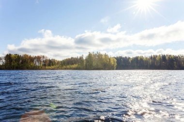 Orman ve su yansıması ile gölün güzel manzara