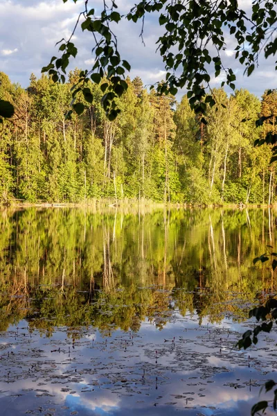 stock image Beautiful view of the lake with reflection in the water and forest