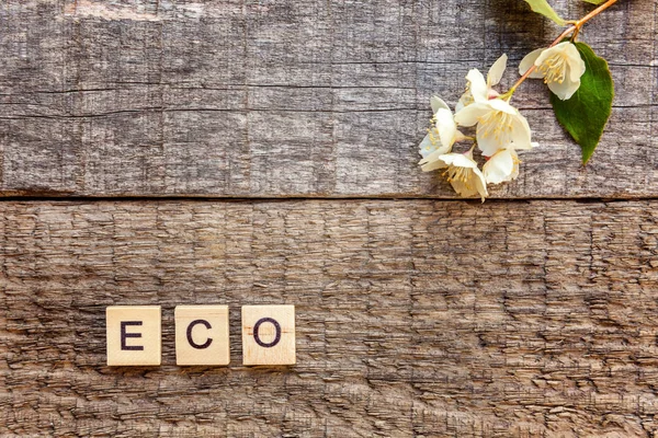 Inscription ECO letters word jasmine flower on old rustic wooden backdrop. Eco Village abstract environmental background. Nature protection energy saving ecology concept. Flat lay top view copy space