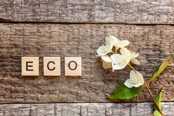 Inscription ECO letters word jasmine flower on old rustic wooden backdrop. Eco Village abstract environmental background. Nature protection energy saving ecology concept. Flat lay top view copy space