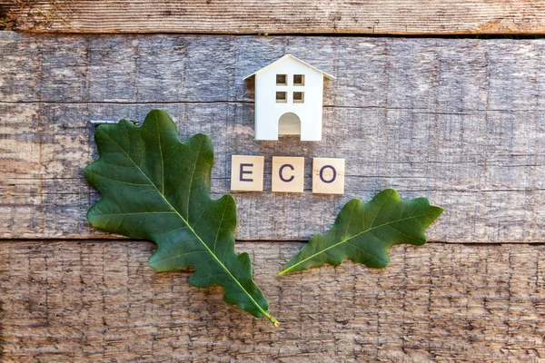 Casa Modello Giocattolo Miniatura Con Iscrizione Eco Lettere Parola Sfondo — Foto Stock
