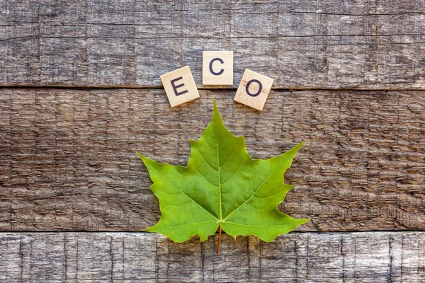Inscription ECO letters word and maple leaf on old rustic wooden backdrop. Eco Village abstract environmental background. Nature protection energy saving ecology concept. Flat lay top view copy space