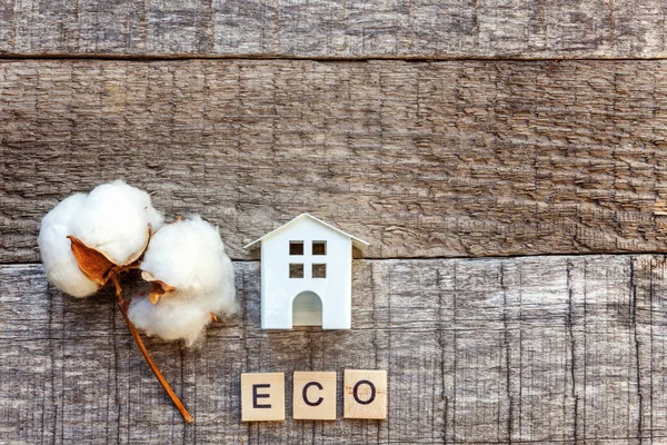 Miniatuur Speelgoed Model Huis Met Inscriptie Eco Brieven Woord Houten — Stockfoto