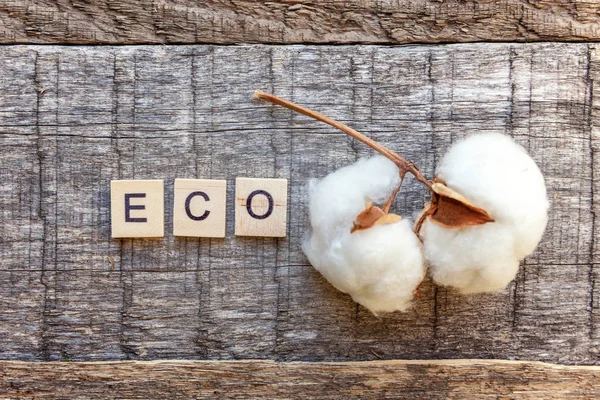 Inscription ECO letters word and cotton flower on old rustic wooden backdrop. Eco Village abstract environmental background. Nature protection energy saving ecology concept. Flat lay top view